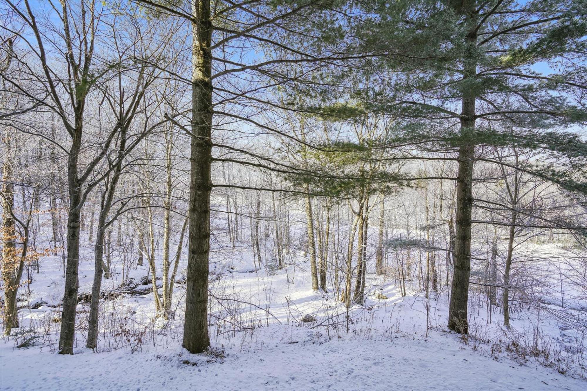 3-Bedroom Condo Ski-In, Shuttle, And Cozy Fireplace Whiffletree I3 Killington Eksteriør bilde